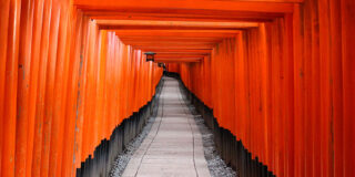 Consultoria fiscal llado