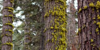 consultoria patrimonial