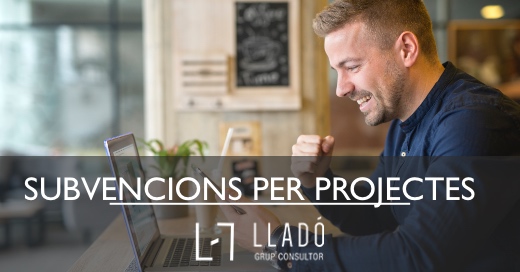 Subvencions per projectes Llado Grup