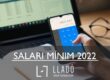 Salari Minim Interprofessional 2022 Llado Grup