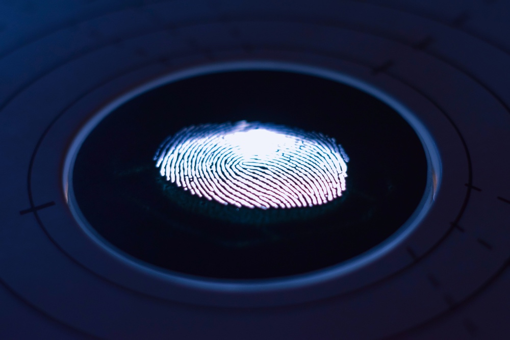 datos biometricas empresa Llado Grup