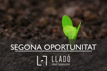 Que es la Llei Segona Oportunitat Llado Grup