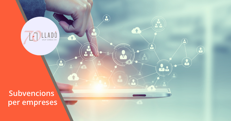 Com obtenir ajudes i subvencions per a l’empresa. Llado Grup